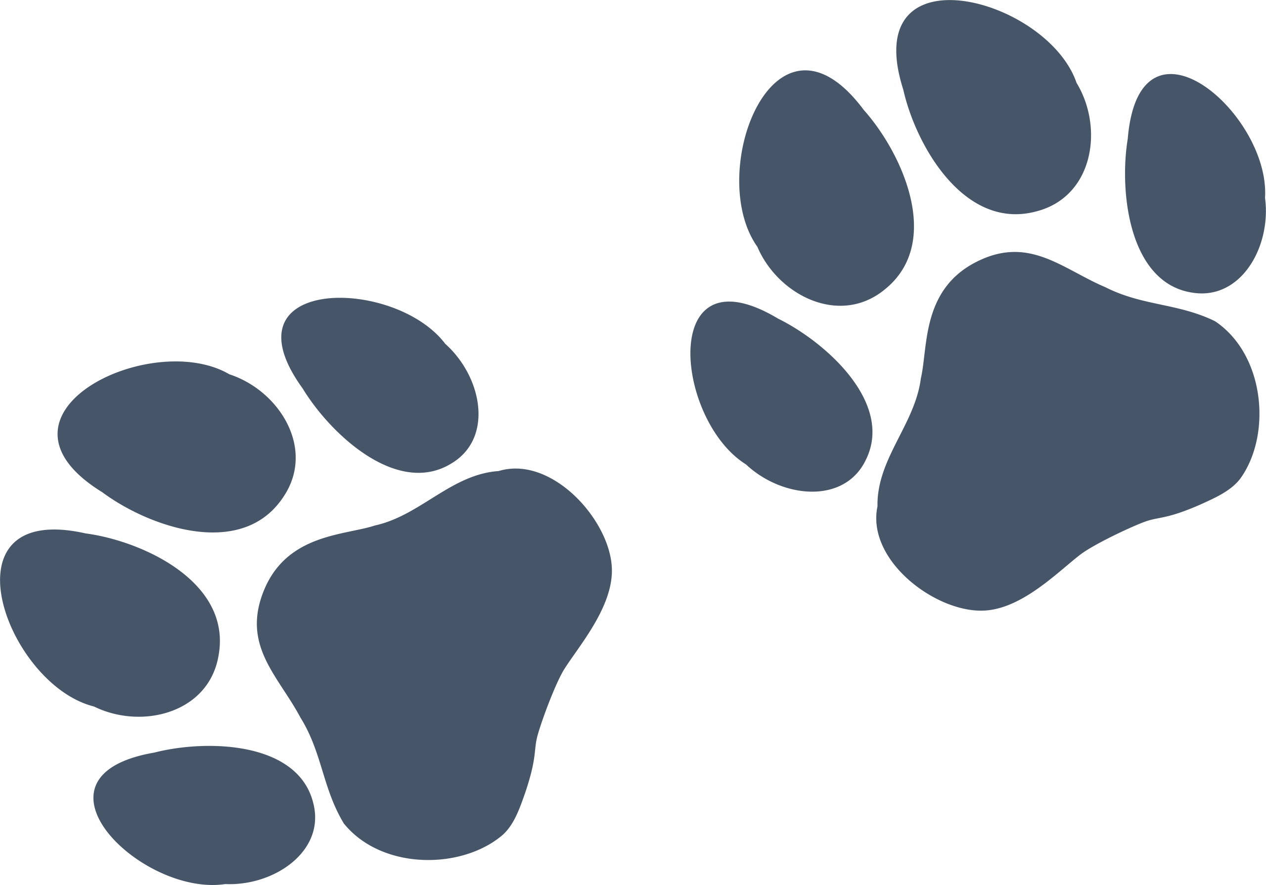 Paws@4x