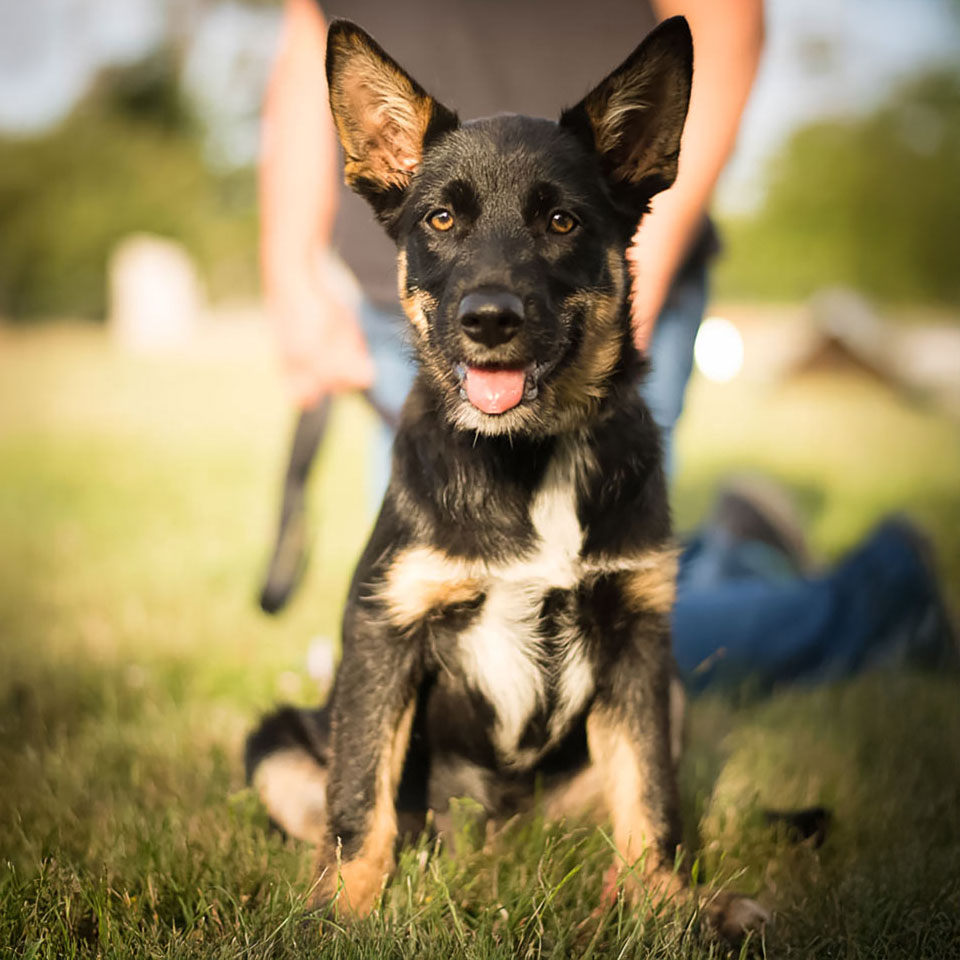 DSC_8666-sq-1