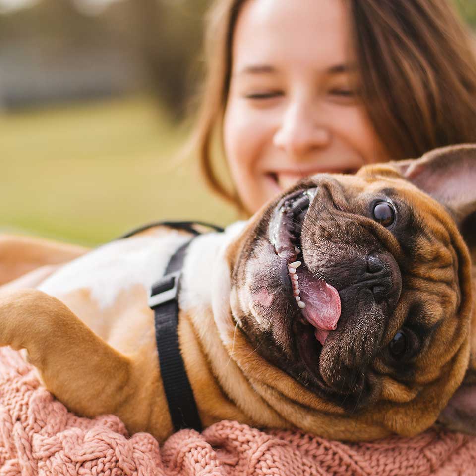 Happy-Puppy-1sq